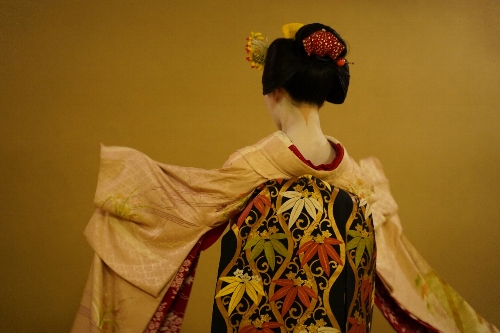 先斗町の舞妓さん