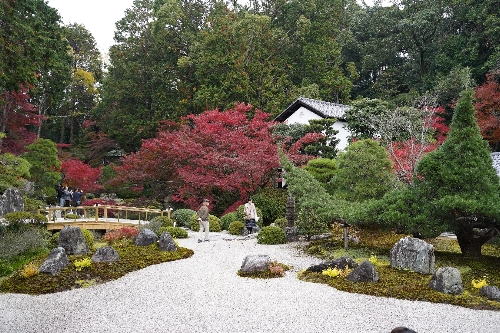 金戒光明寺
