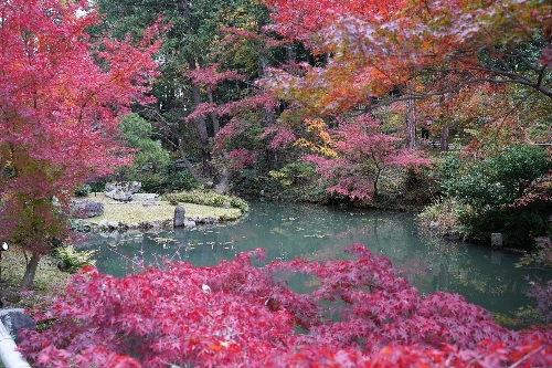 金戒光明寺