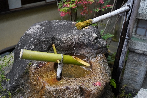 金戒光明寺
