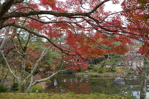 円山公園ひょうたん池