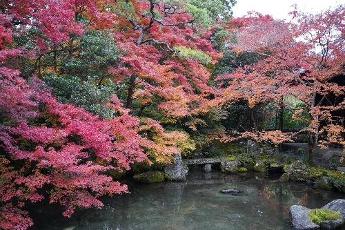 蓮 華 寺