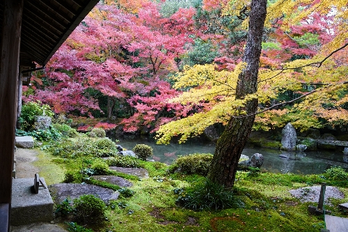 蓮 華 寺