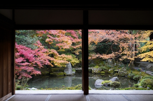 蓮 華 寺