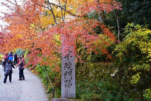 大原三千院