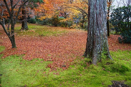 大原三千院