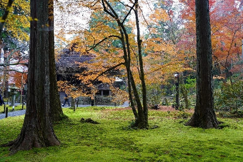 大原三千院