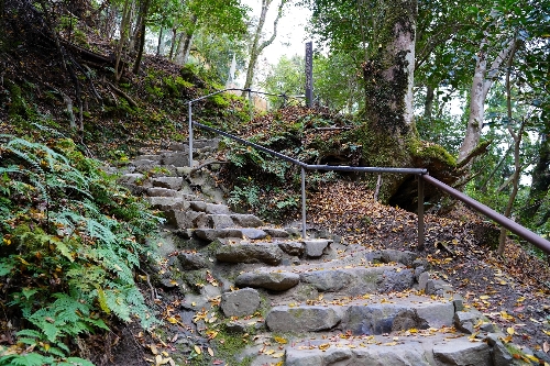 鞍馬寺西門から鞍馬寺へ