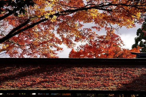鞍馬寺