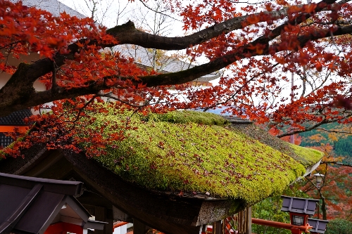 鞍馬寺