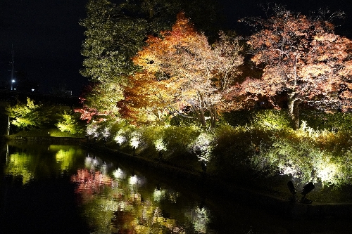 東寺のライトアップ