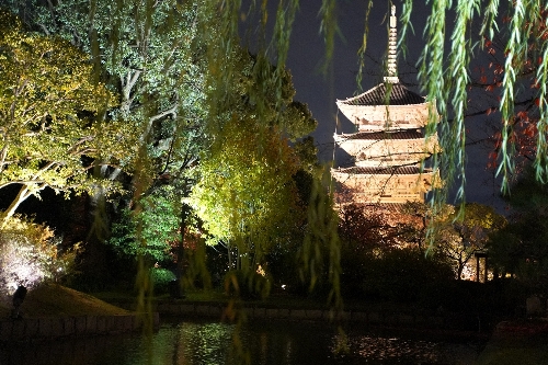 東寺のライトアップ