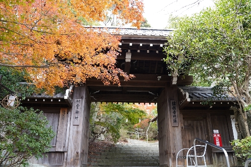 村雲御所瑞龍寺
