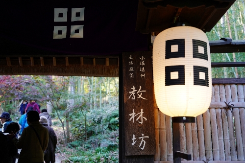 教 林 坊