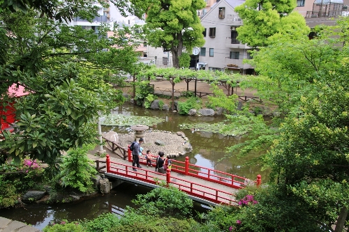 須藤公園の眺め