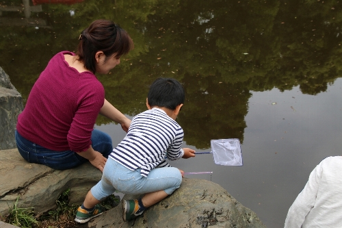 須藤公園の池でザリガニ釣りの親子