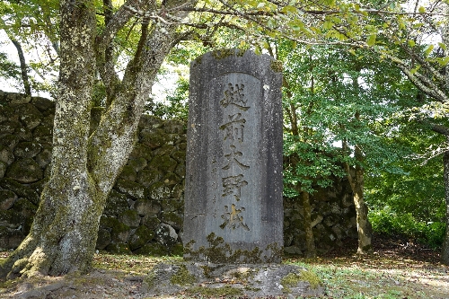 01.jpg