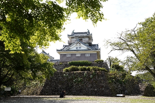 01.jpg