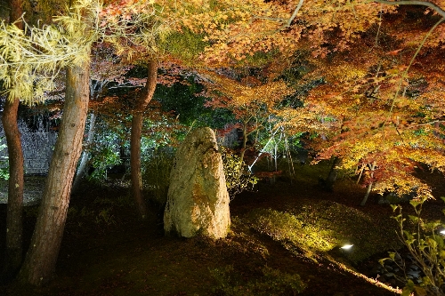 13宝厳院の獅子吼の庭