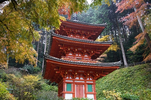 17岩船寺