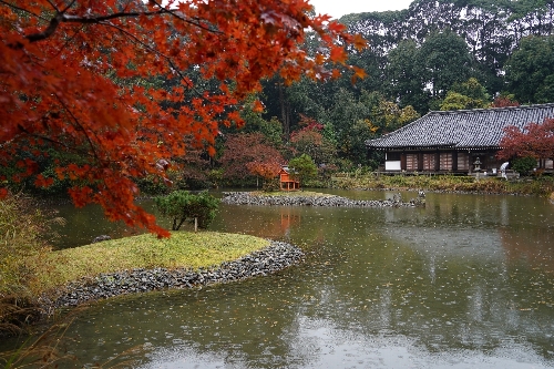 22浄瑠璃寺