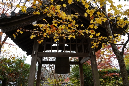 24浄瑠璃寺