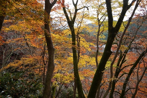 34談山神社