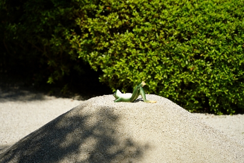 三角錐の築山の上に寝ている青ガエル