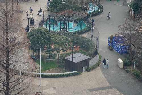 上野動物園のフラミンゴが見える