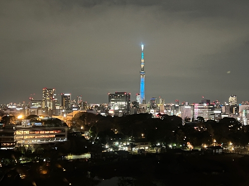 東京スカイツリーの電飾