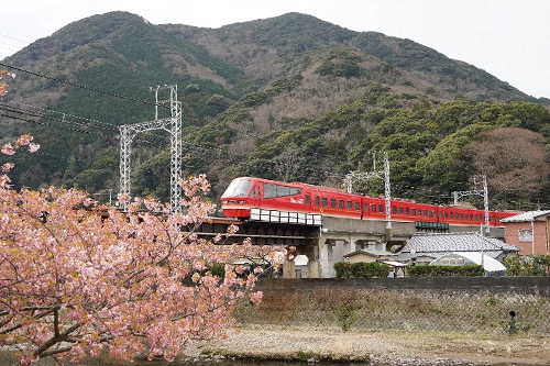 河津桜と同時に撮れた電車