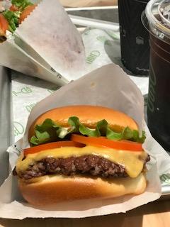 image1.jpeg