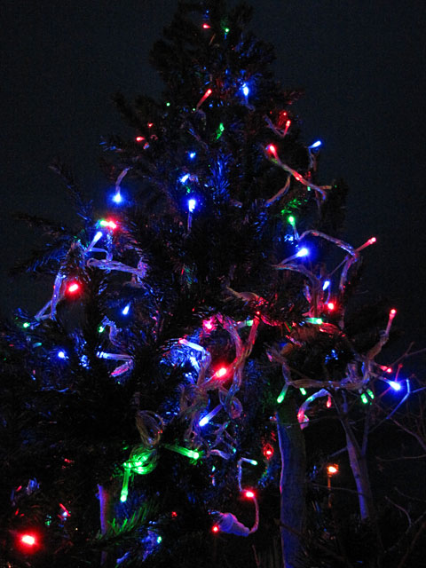 ウイングベイ小樽「Bay Forest Xmas」
