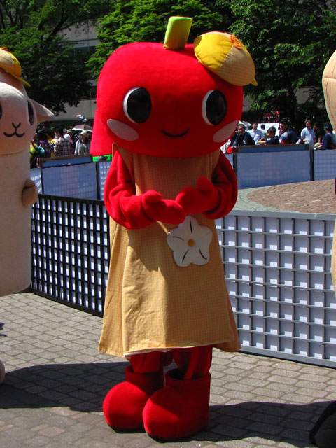第19回YOSAKOIソーラン祭り