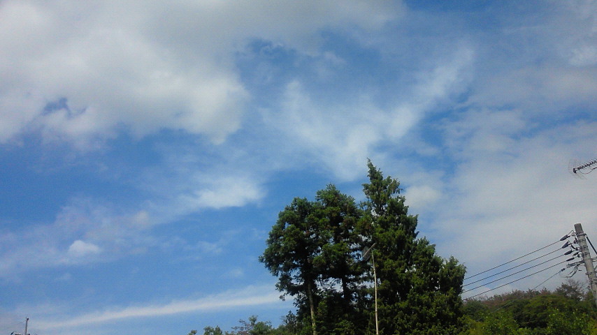 200906201438000.jpg