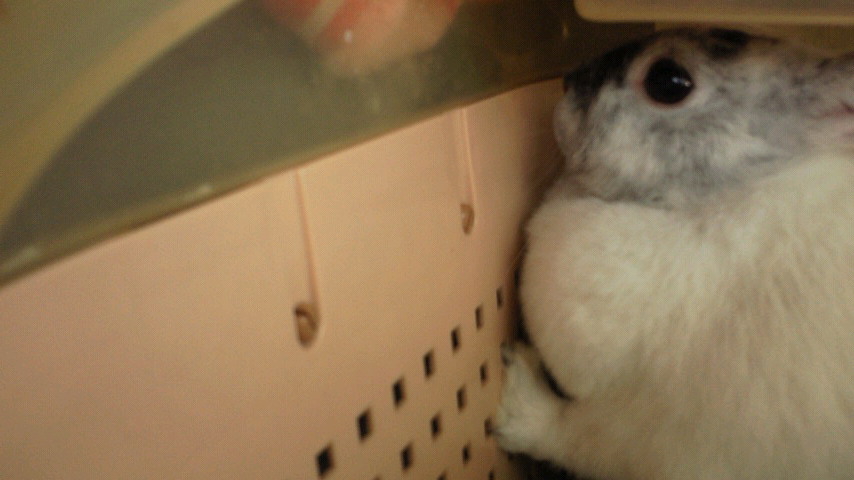 200908041355001.jpg