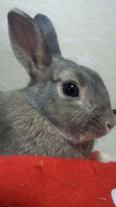 201001042159001.jpg