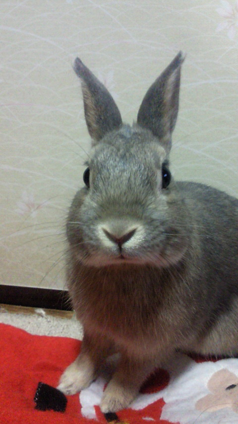 201001042218000.jpg