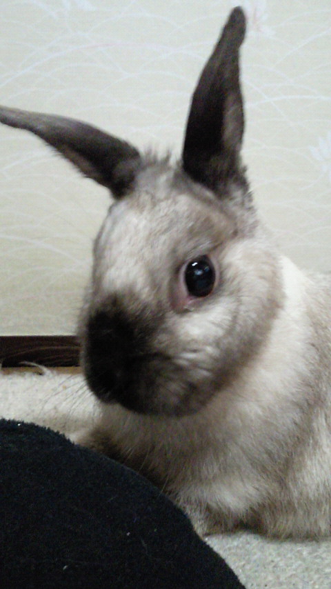 201002140919001.jpg