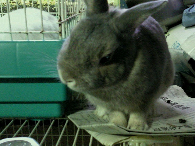 201011031007000.jpg