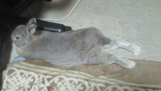 201207060628000.jpg