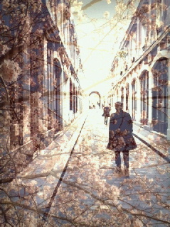 2012040900060000.jpg