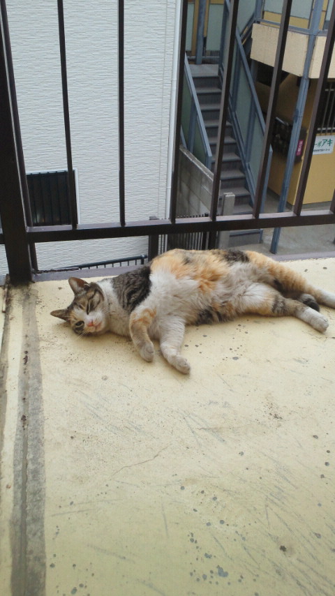 2013030816000000.jpg