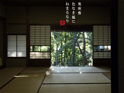 奥座敷から庭を望む