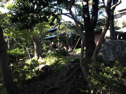 庭から奥座敷を望む