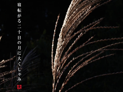 寝ころぶ月