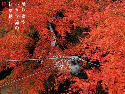 吊り橋と紅葉