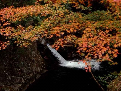 小さな滝