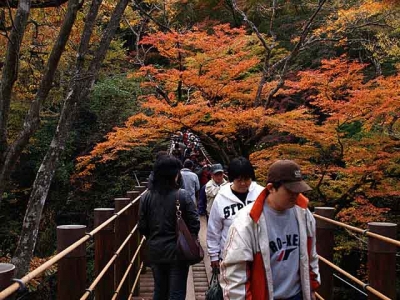吊り橋
