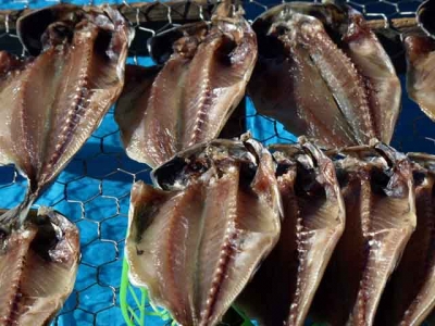 アジの干物